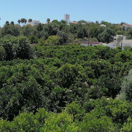 Villa Cerro E Mar 蒙卡拉帕乔 外观 照片
